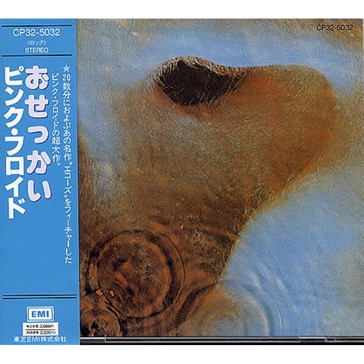 Amazon.co.jp: Meddle: ミュージック