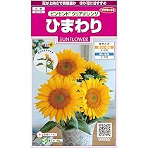 ひまわりページ Amazon.co.jp: ひまわり壁面飾り ペーパークラフト 759 : おもちゃ