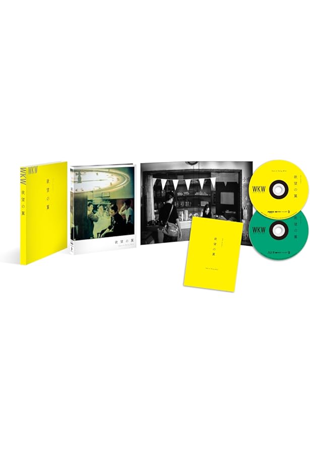 WKW:THE CINEMA OF WONG KAR WAI ザ・シネマ・オブ・ウォン