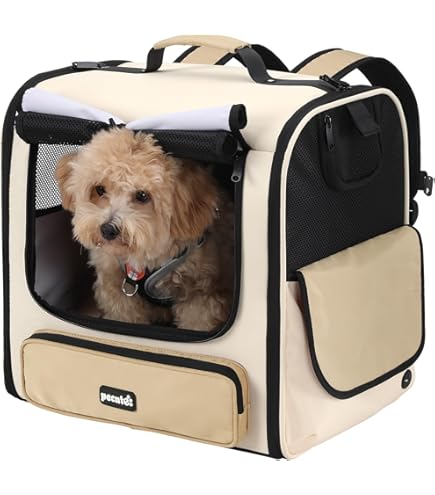 Amazon.co.jp: little comfo リトルコンフォ gold メッシュバック