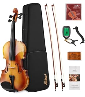 最終価格 新品 バイオリン弦VIOLINO ボールEセット Amazon | Eastar バイオリン ヴァイオリン 4/4 単板 ソリッド