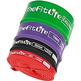 TheFitLife 懸垂チューブ トレーニングチューブ レジスタンスバンド 筋トレチューブ 懸垂補助 全身筋力トレーニング | カラー別負荷トレーニングシステム、懸垂補助バンド、チンニング補助・懸垂トレーニング、自宅筋トレ完全対応、全身トレーニング