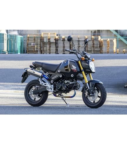 OVER RACING オーバーレーシング マフラー フルエキ チタン グロム Amazon | オーヴァーレーシング(OVERRACING) GP-PERFORMANCE XL