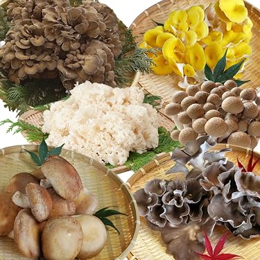 Amazon.co.jp Best Sellers: The most popular items in Maitake Mushrooms