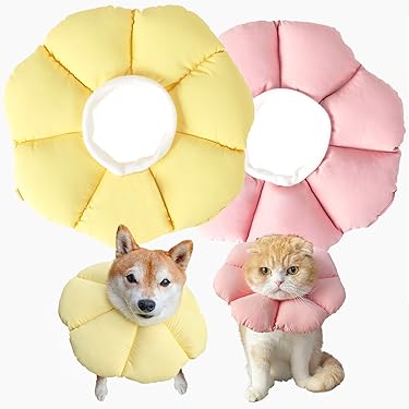 Amazon.co.jp 売れ筋ランキング: 犬用エリザベスカラー の中で最も人気