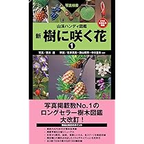 山溪ハンディ図鑑 新 樹に咲く花1 | 茂木 透, 勝山 輝男 |本 | 通販