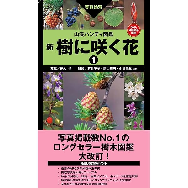 山溪ハンディ図鑑5 樹に咲く花 合弁花・単子葉・裸子植物 山渓ハンディ図鑑 樹に咲く花