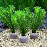 （水草）メダカ・金魚藻 国産 ゼオライトリング（グレー）無農薬アナカリス（２個）