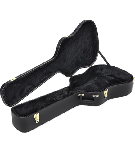 Amazon | Ibanez アイバニーズ AW54CEOPN Artwood Solid Top