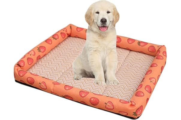 ペットベッド オールシーズン Xl Xxl S Xxs 洗える L 小さい 冷感マット付 中型犬 大型犬 小型犬 角型 大きい 夏 ふわふわ M