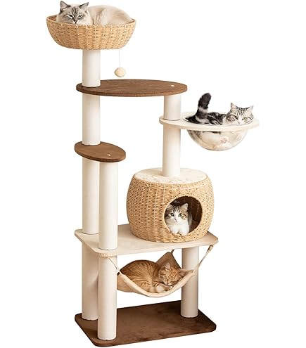 Amazon.co.jp: キャットランド CLF-6 ブラウン アイリスオーヤマ