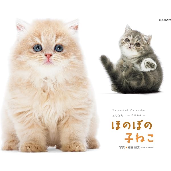 【中古】 子猫のポエム カレンダー2025 ほのぼの子ねこ（月めくり/壁掛け） (ヤマケイ