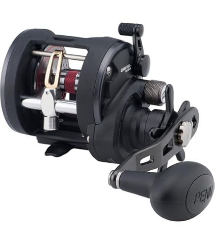 Amazon | Penn Fishing Penn Fathom レバードラッグ 2速 従来型