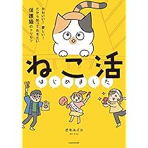 ねこ☆お気軽にコメントどうぞ まめねこ5 ―なになに?これな~に! | ねこまき(ミューズワーク) |本