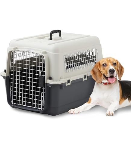 Amazon.co.jp: イヌネル (inuneru) クレート L70 中型犬用 IATA対応