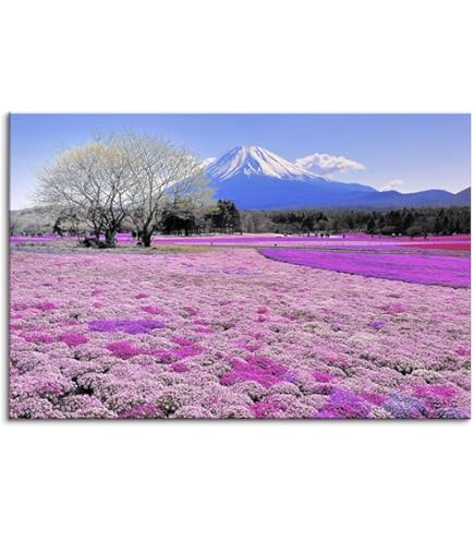 大山忠作　岩絵の具　肉筆『富士』サイン(印譜)　共シール　F8号　額装　b319 大山忠作 岩絵の具 肉筆『富士』サイン(印譜) 共シール F8号 額装 b319