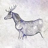 馬と鹿 (映像盤(初回限定)) (CD+DVD(紙ジャケ))