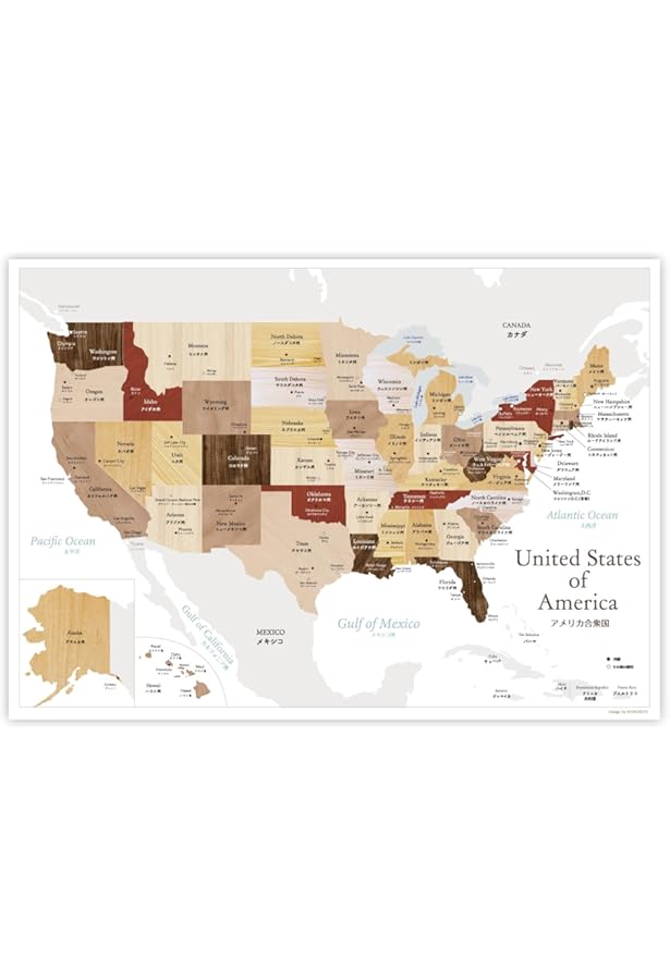 Amazon.co.jp: Palace Learning ラミネート加工 USAマップ - 18インチ