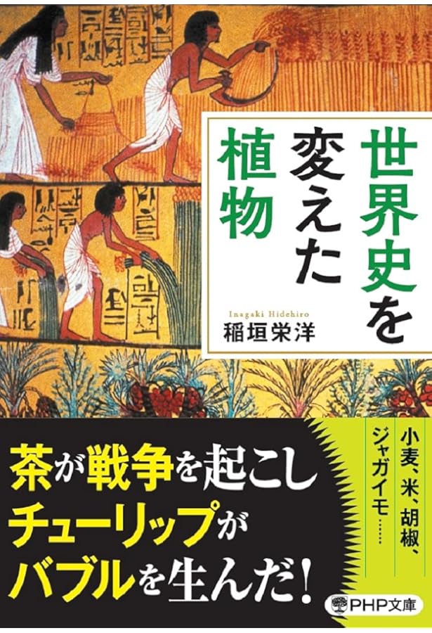 ビジュアル・ケミストリー　2003/2004冬期直前講習会　大宮理　化学 ケミストリー世界史 | 書籍 | PHP研究所