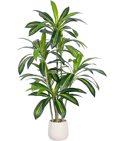 Amazon｜光触媒 人工観葉植物 光の楽園 フィカスベンジャミン1.8植栽付