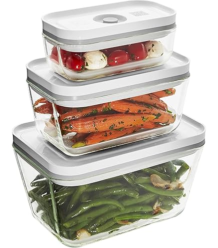 Amazon.co.jp: Sundeer ZWILLING Fresh & Save Boîte de Conservation