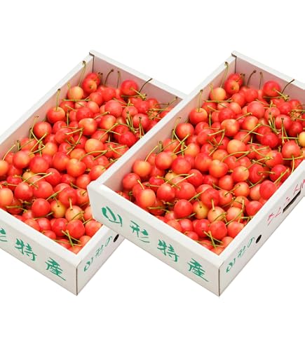 Amazon.co.jp: 訳あり 色薄 山形県産 さくらんぼ 佐藤錦 サイズ不定