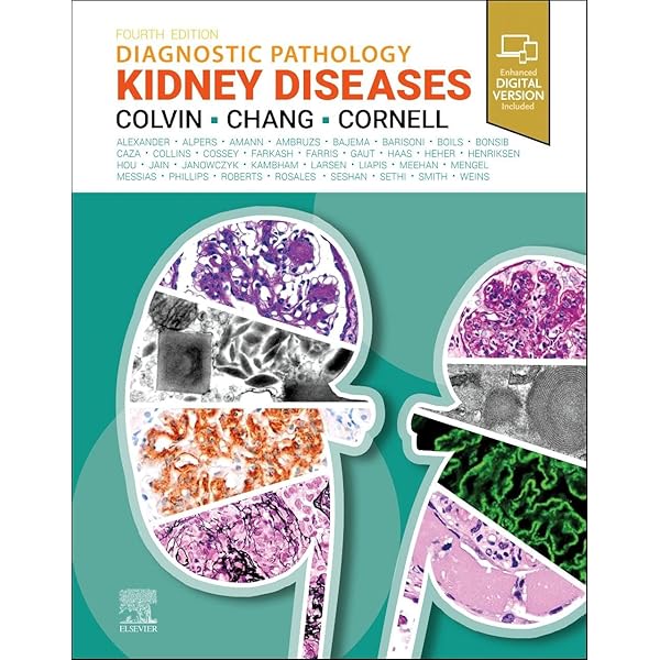 Amazon | Heptinstall's Pathology of the Kidney | Jennette MD, J