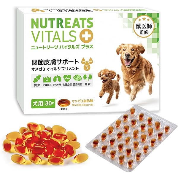 Amazon.co.jp: パンフェノン 16.8g（140mgx120粒） 【スケアクロウ