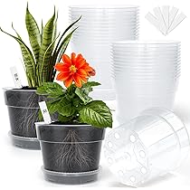 Amazon.co.jp: 透明プランター 5号 植木鉢 15個セット、 排水穴