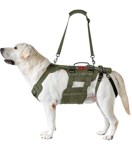 Amazon | PRATIKO・プラティコ ハーネスストロング 大型犬用 サイズ 1