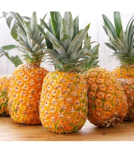 Amazon.co.jp: 【MSKSHOP】パイナップル 果物 フルーツ フィリピン