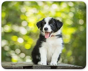 Amazon ボーダーコリーの子犬マウスマットパッド 羊犬ファームかわいいペットのコンピューターギフト Destination Vinyl Mats 家電 カメラ
