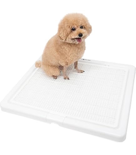 Amazon | ボンビアルコン (Bonbi) しつけるトレー XL メッシュタイプ