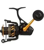 Amazon.co.jp: PENN (ペン) International インターナショナル VISX
