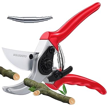 Amazon.co.jp 売れ筋ランキング: 園芸用はさみ の中で最も人気のある