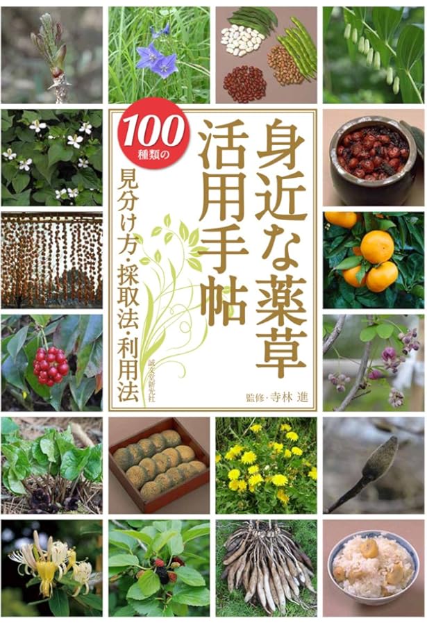 Amazon.co.jp: 薬草: 種類・薬効・用い方 (検索入門) : 御影 雅幸