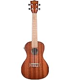 Amazon.co.jp: Ibanez/アイバニーズ コンサート・スタイル
