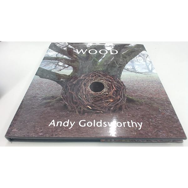 Andy Goldsworthy: A Collaboration with Nature - | Amazon.com.au