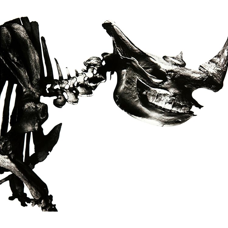 Amazon.co.jp: 名もなき詩 - Mr.Children: ミュージック