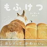もふけつ コーギーのおしり