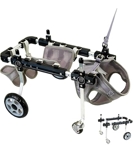 Amazon.co.jp: 犬用4輪車椅子 歩行器 8キロ以上 15キロ未満 オーダー 