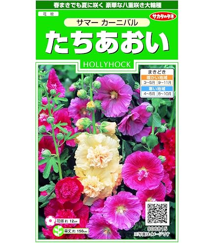 Amazon | カネコ種苗 園芸・種 KS100シリーズ ひまわり 太陽 草花100