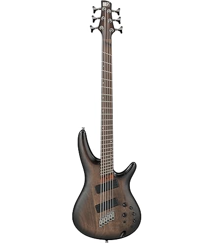Amazon | Ibanez(アイバニーズ) エレキベース 5弦 Black Flat