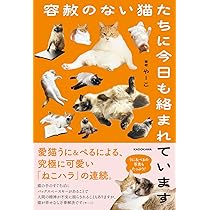 Min*猫飼っています ページ Amazon.co.jp: 容赦のない猫たちに今日も絡まれています : やーこ: 本