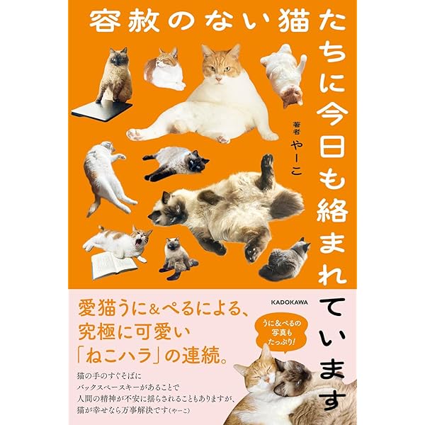 猫の診察で思いがけないすれ違いの末、みんな小刻みに震えました | や
