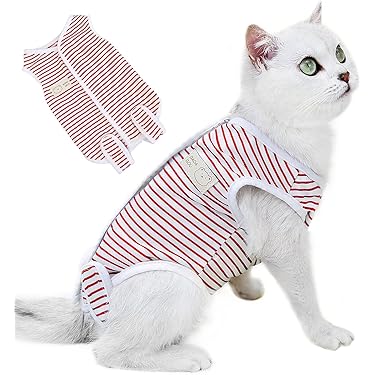 Amazon.co.jp 売れ筋ランキング: 猫用服・アクセサリー の中で最も人気