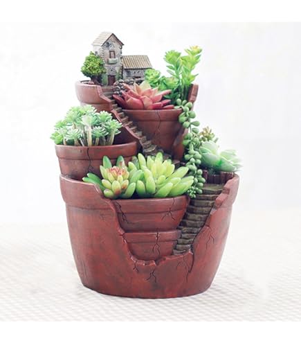 Amazon.co.jp: TT5 リトープス カラフル15苗大玉セット かわいい多肉