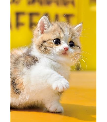 Amazon | 108ピース ジグソーパズル Fantastic Art~ONINEKO~ チェシャ