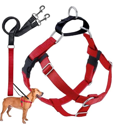 首輪・ハーネス・リード NEIGHBORHOOD DOG HARNESS Amazon | 2 Hounds Design Freedom ノープルハーネスのみ 1インチ L