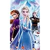 『アナと雪の女王2』 ディズニー - 『アナと雪の女王2』 FVGA(480×800)壁紙 146360